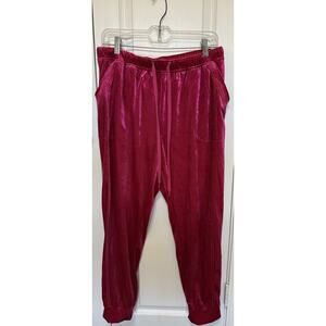 Anthropologie Saturday Sunday Merida Velvet Pink Joggers Size Medium Cozy